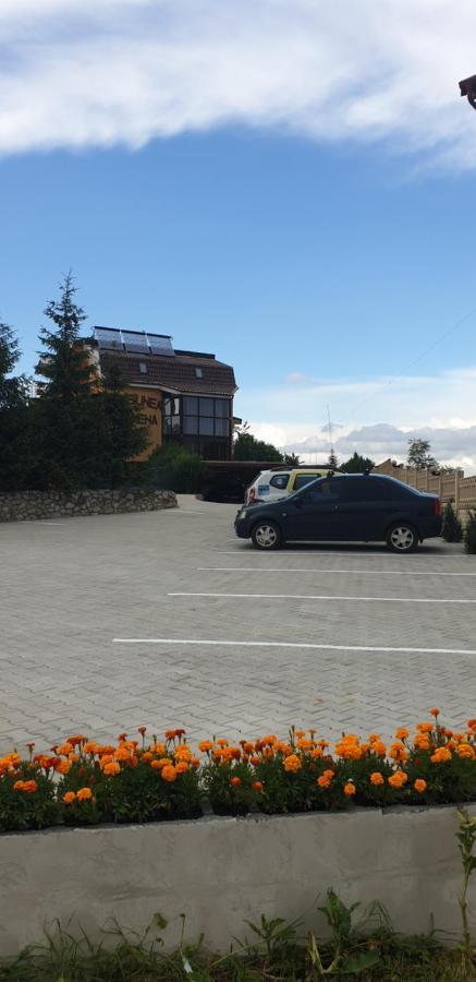 Pensiunea Carmena Băile Felix Eksteriør billede